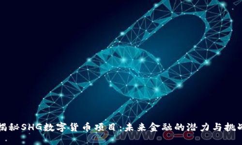 揭秘SHG数字货币项目:未来金融的潜力与挑战