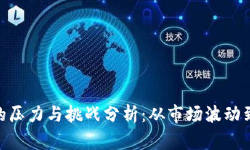 数字货币的压力与挑战分析:从市场波动到监管困境