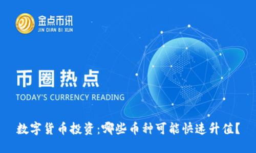 数字货币投资:哪些币种可能快速升值?