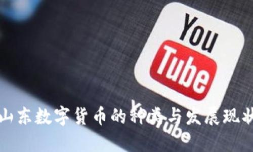 山东数字货币的种类与发展现状