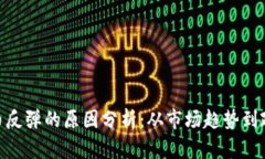 数字货币反弹的原因分析:从市场趋势到政策影