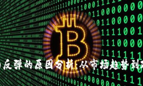 数字货币反弹的原因分析:从市场趋势到政策影响