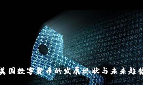 美国数字货币的发展现状与未来趋势