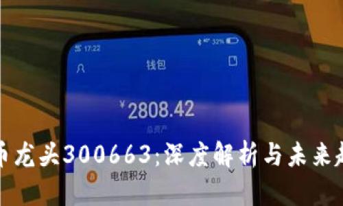 数字货币龙头300663:深度解析与未来趋势展望
