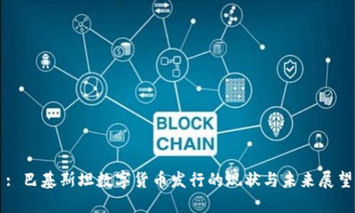 : 巴基斯坦数字货币发行的现状与未来展望
