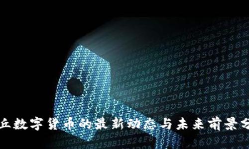 安丘数字货币的最新动态与未来前景分析