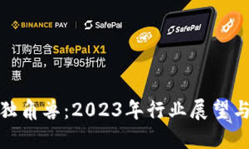 数字货币独角兽:2023年行业展望与未来发展