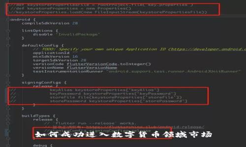 如何成功进入数字货币领域市场