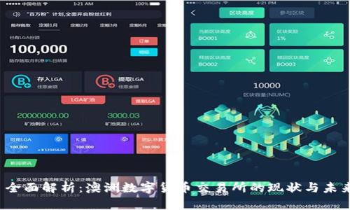 全面解析:澳洲数字货币交易所的现状与未来