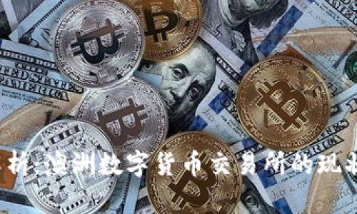 全面解析:澳洲数字货币交易所的现状与未来
