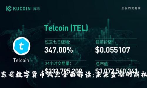 广东省数字货币试点全面解读:未来金融的新机遇