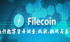 全球央行数字货币调查：现状、挑战与未来发展