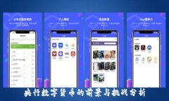   央行数字货币的前景与挑战分析
