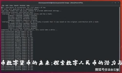 人民币数字货币的未来:探索数字人民币的潜力与挑战