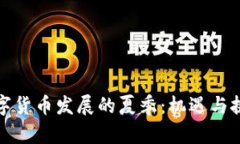 数字货币发展的夏季：机遇与挑战