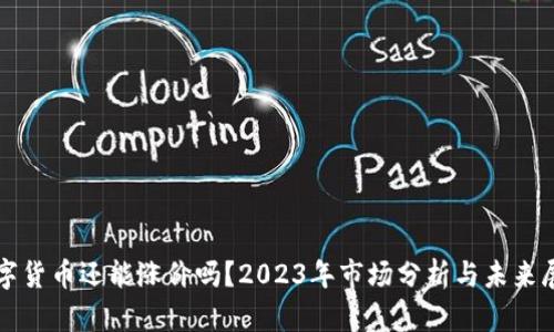数字货币还能涨价吗?2023年市场分析与未来展望