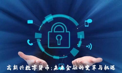   
高新兴数字货币：未来金融的变革与机遇