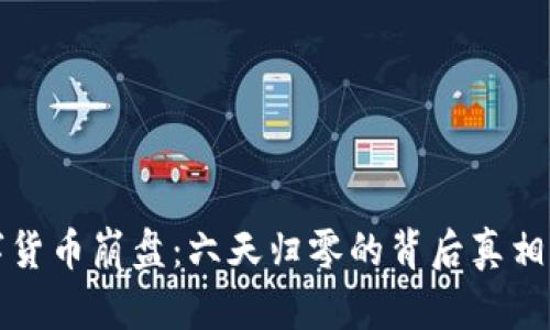 数字货币崩盘：六天归零的背后真相解析